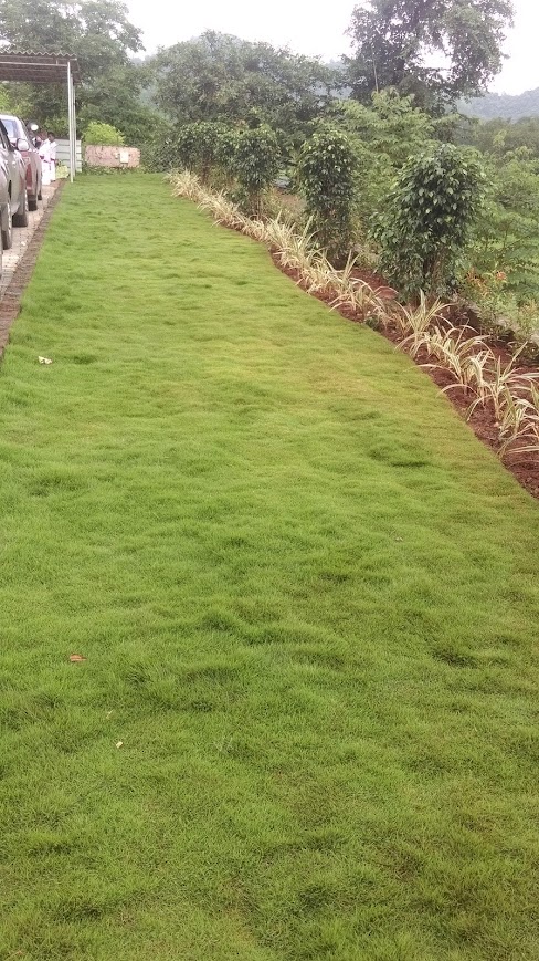 Farm House Project 4